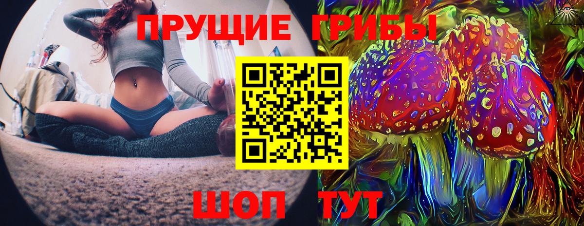 Галлюциногенные грибы GOLDEN TEACHER Грозный