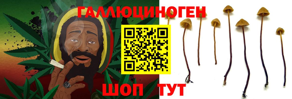 Грозный  Псилоцибиновые грибы Psilocybe  продажа наркотиков  Галлюциногенные грибы мухоморы  Вход с VPN 